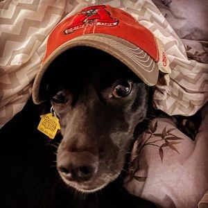 Meet your Posher, Josef a